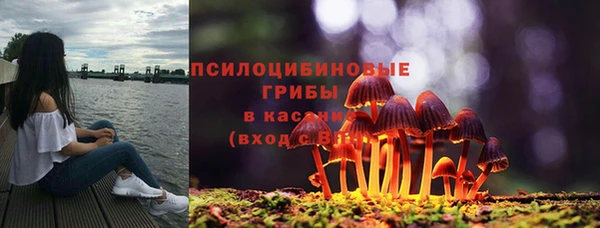 PSILOCYBIN Богородск