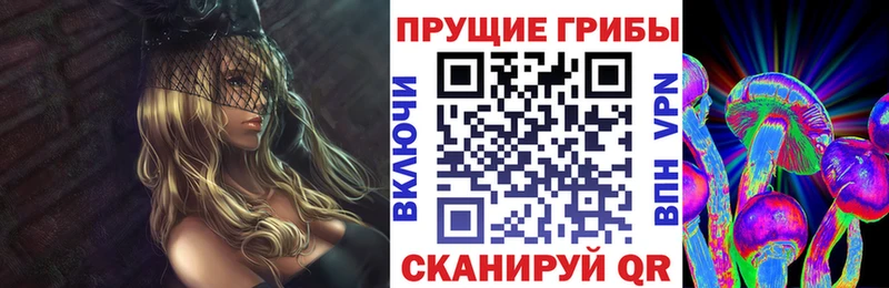 Галлюциногенные грибы Cubensis  как найти закладки  Вышний Волочёк 
